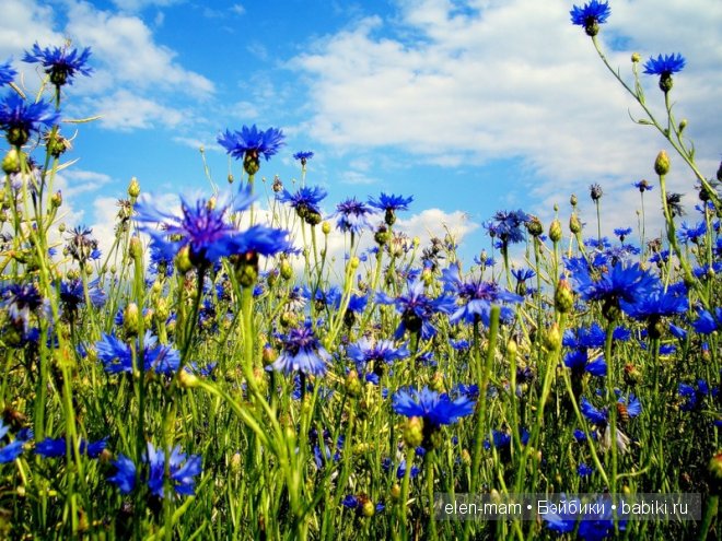 Кирочкино Лето (кукла Готц) - часть 2-я (фото 5)