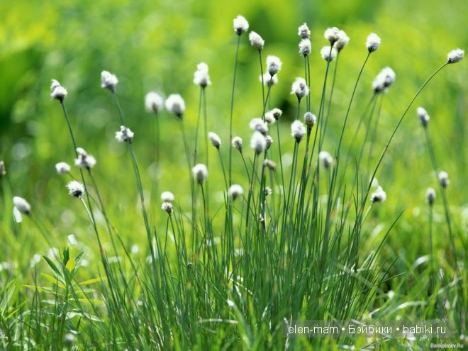 Кирочкино Лето (кукла Готц) - часть 2-я (фото 6)