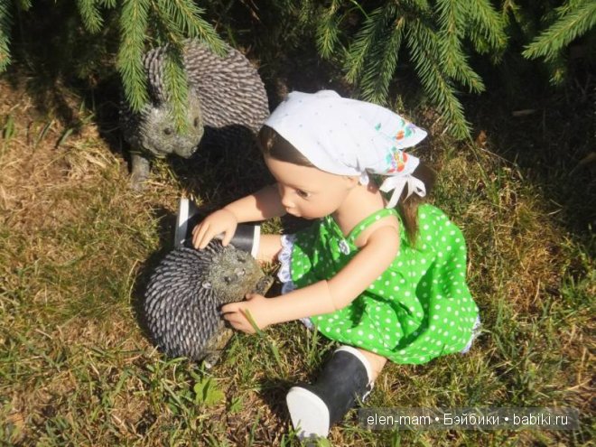 Ежонок, как ручной