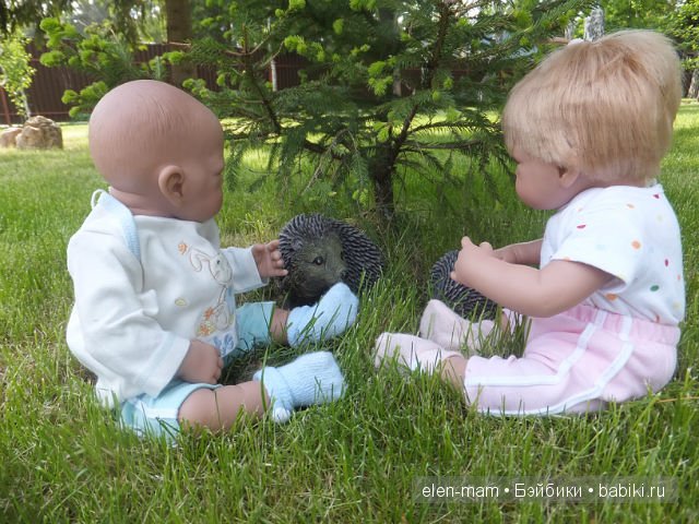 Хуанчики и ёжики