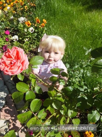 Ангелика и роза