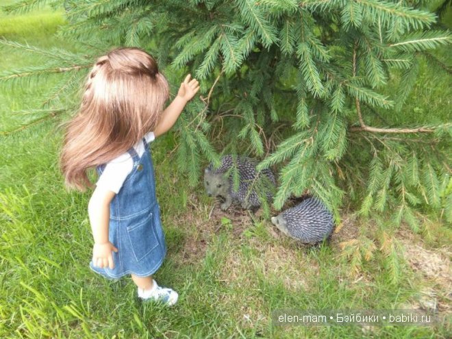 Дина нашла ёжиков