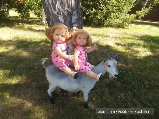 Леонорки  верхом на козе