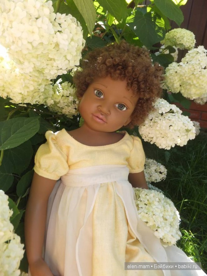 Кения и гортензия