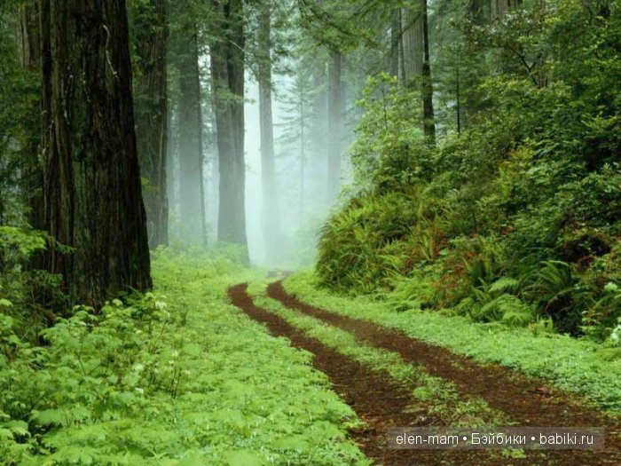 Весна голубоглазая, рыжая, прекрасная!) Или Рыжая Капелька Счастья) Кукла Готц