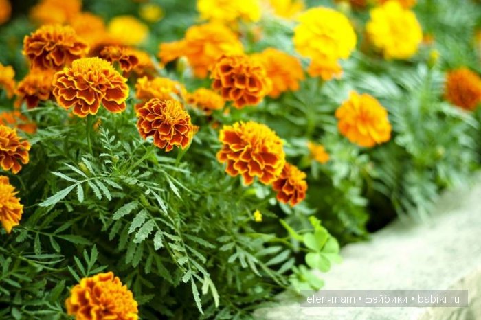 Простая Арифметика = "Городские Цветы" (Наряды для кукол своими руками)