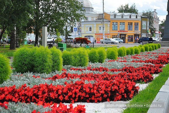 красные цветы, зелёные кусты, аллея