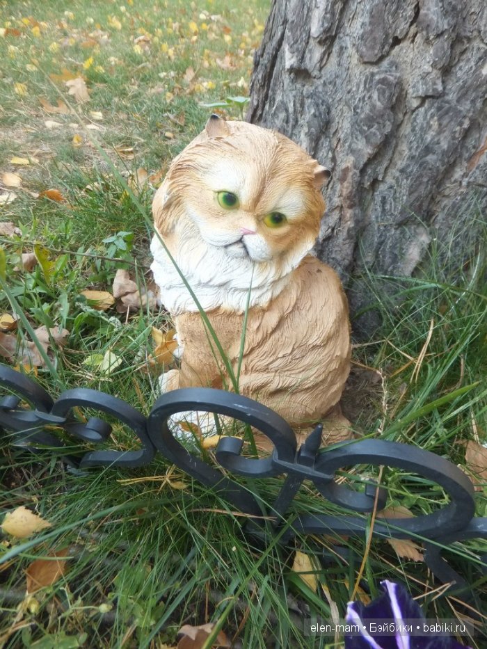 Рыжий кот 2