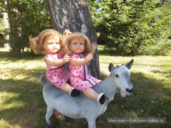 Леонорки на козе