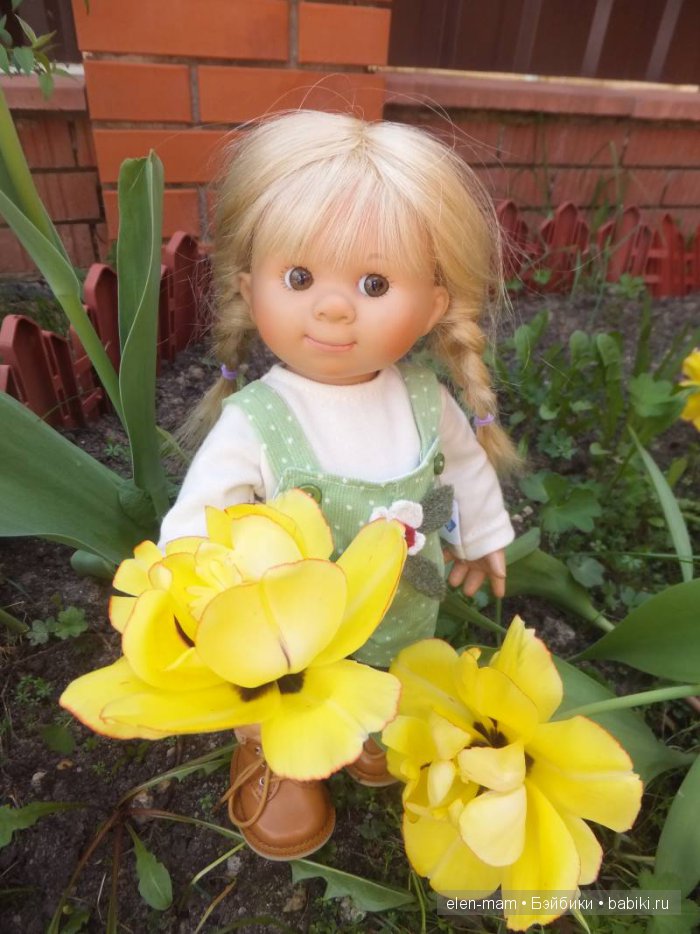 Жёлтые тюльпаны