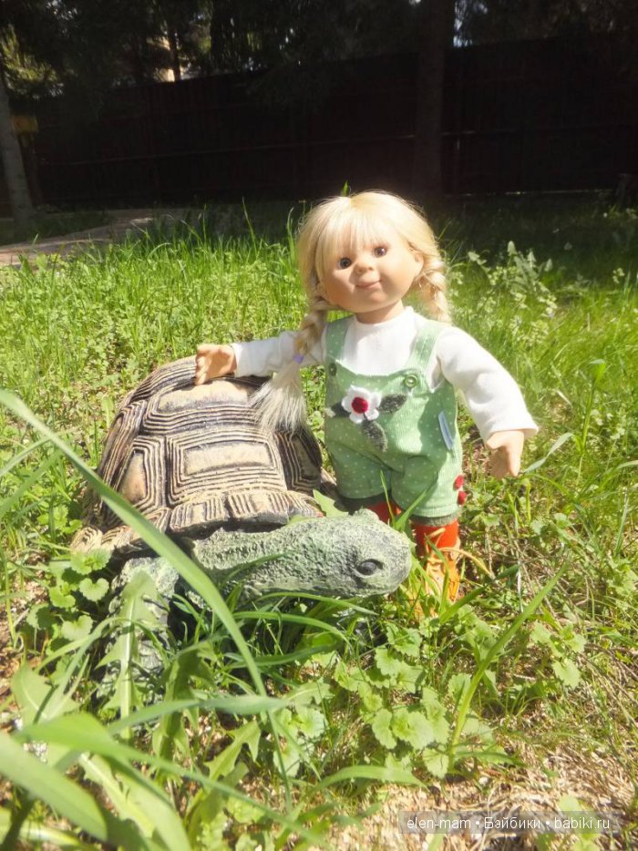 Большая черепаха