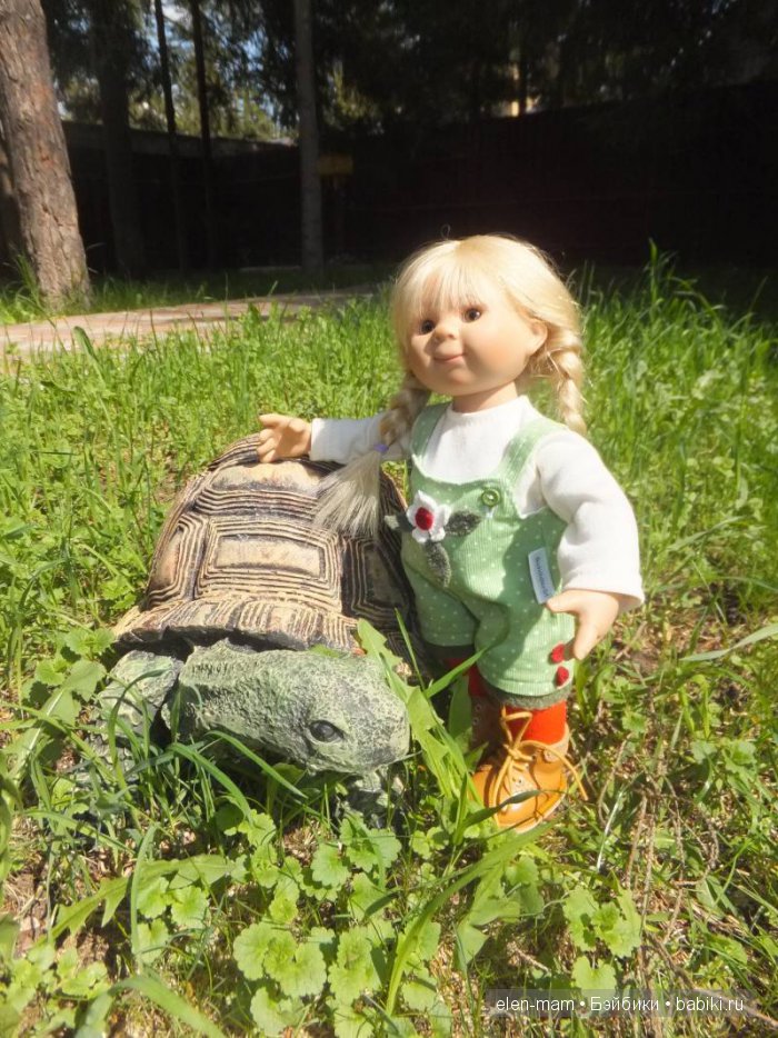 Задумалась о черепахах