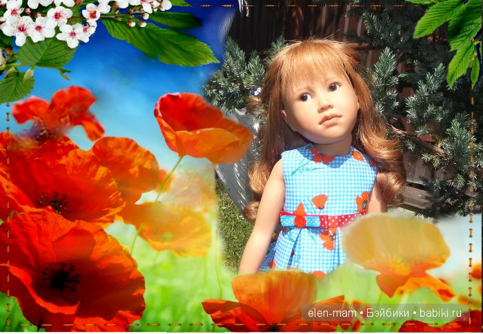 Маки, рамка