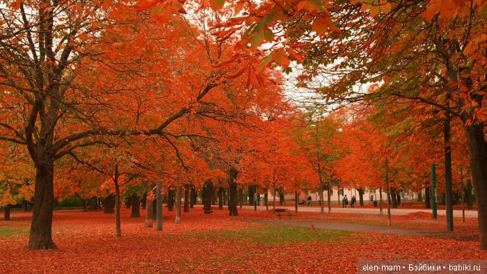 Пейзаж осени