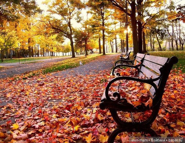 Парк, лавочка