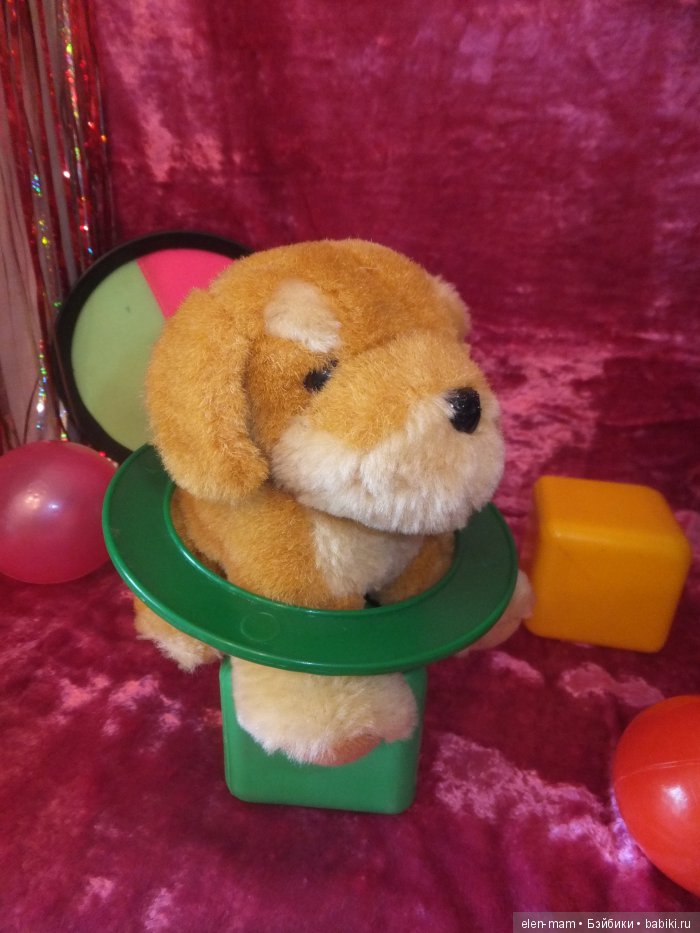 Щенок, рыжий