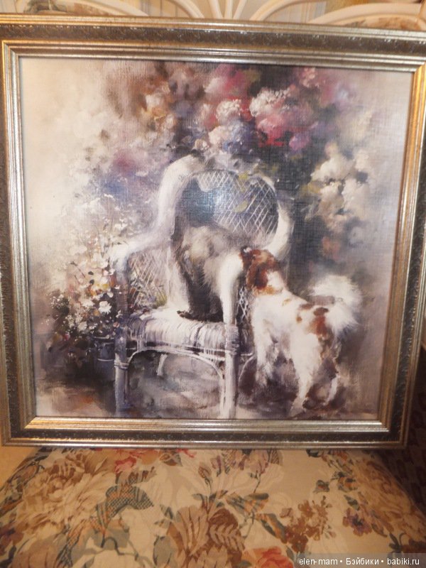 Цветы и собака