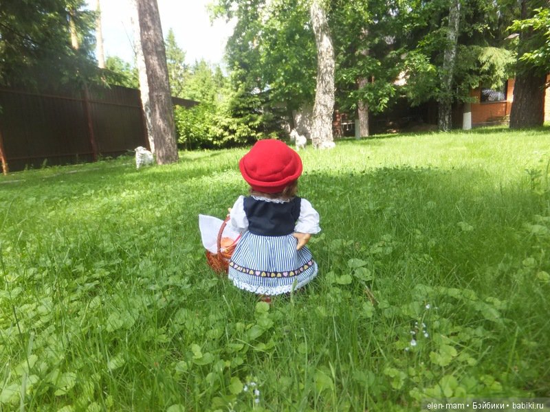 Вышла из леса