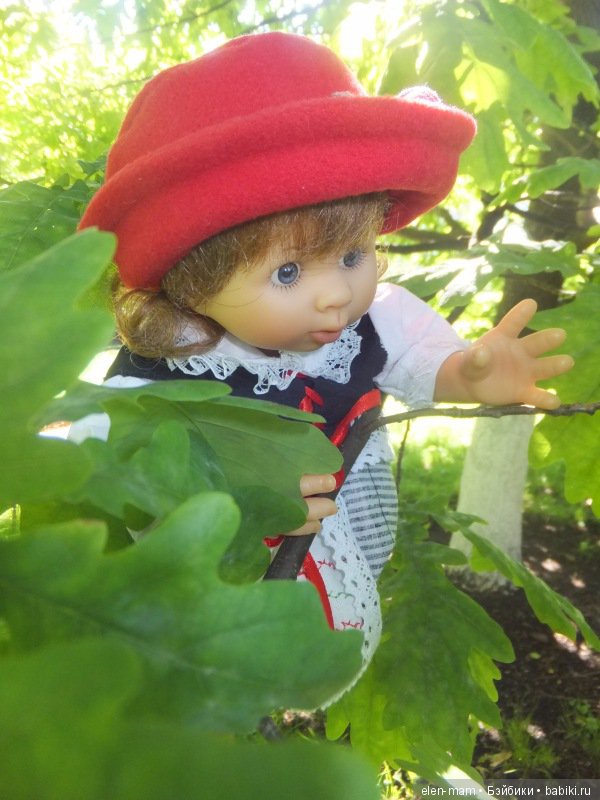 Вниз, с дерева