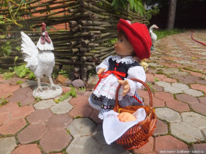 Куриное семейство