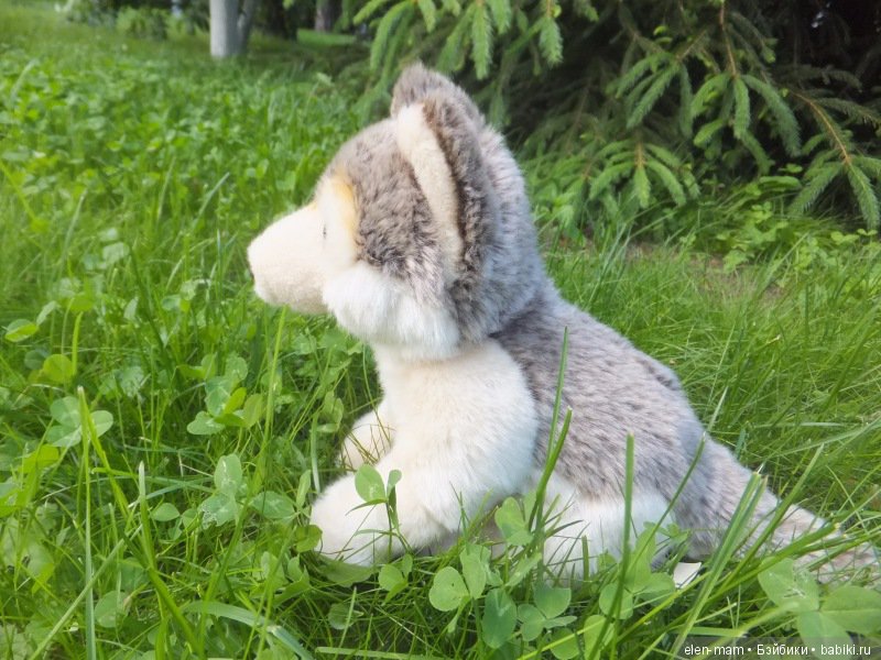 Туман смотрит вслед...