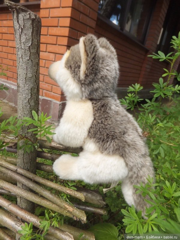 Девочка в красной шапочке. По мотивам сказки Красная Шапочка. Часть 2-я (фото 5)
