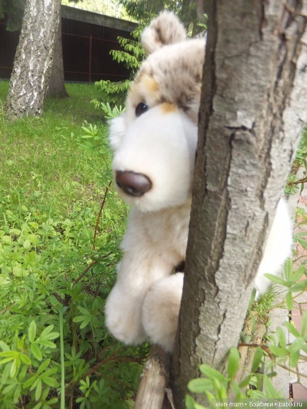 Осматривается