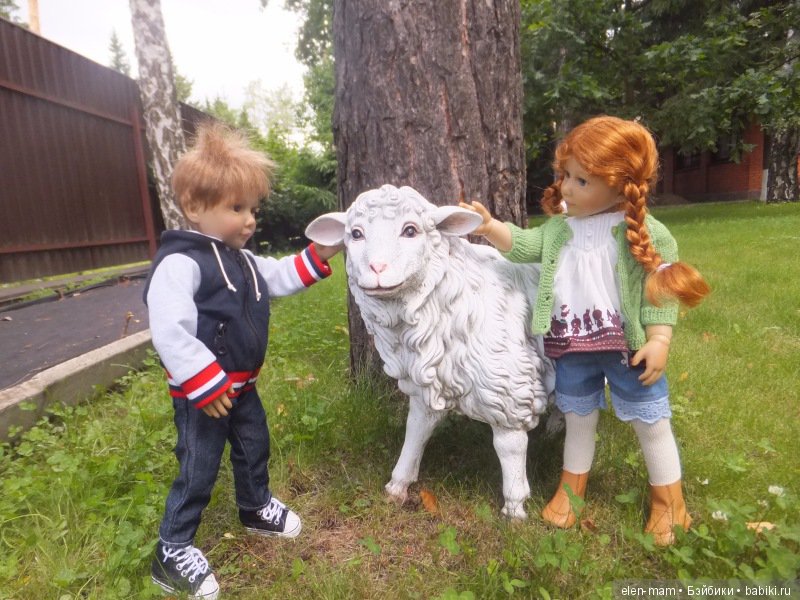 Гладят овцу