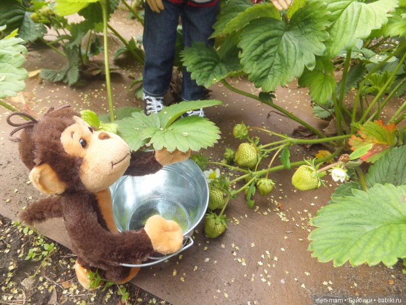 Пригорюнился