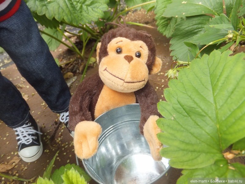 Неразлучные. Куклы Kidz 'n' Cats (фото 6)