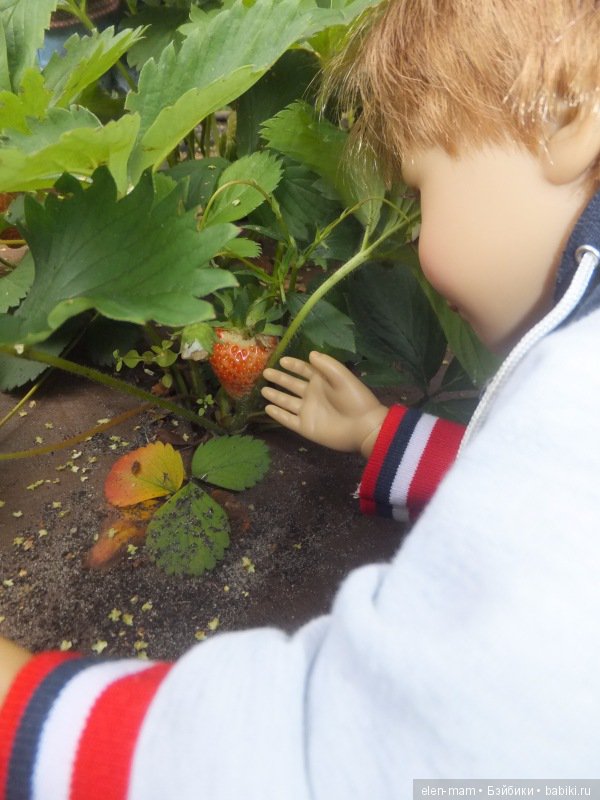 Увидели клубничку 2