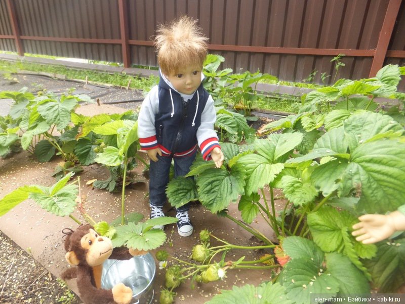 Здесь или здесь?