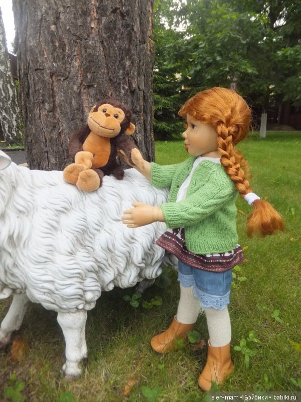 Обезьян на овце