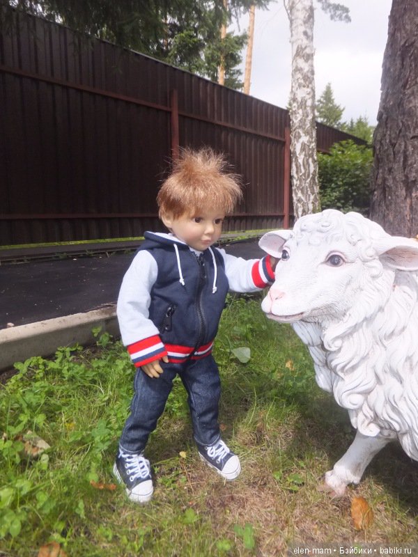 Филипп гладит овцу