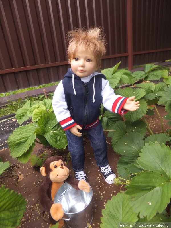 Филипп ищет клубнику