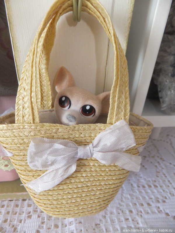 Собачка в сумке