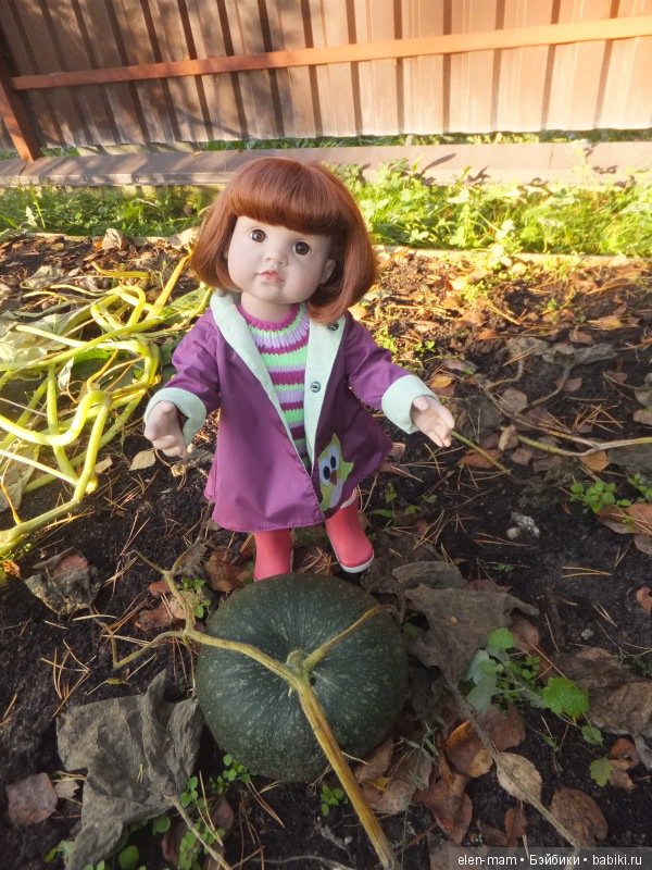 Агаша и тыква