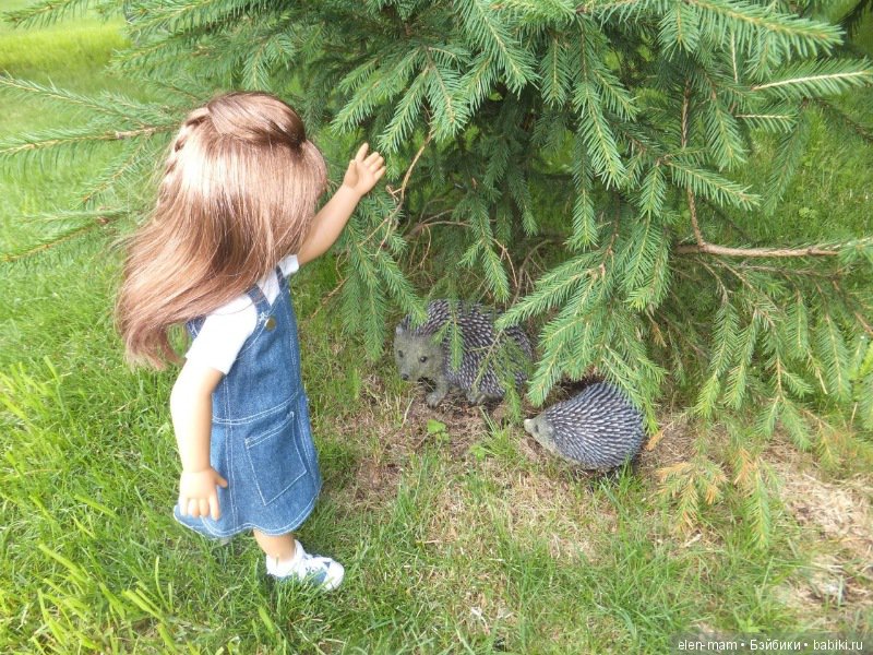 Динка ёжиков нашла