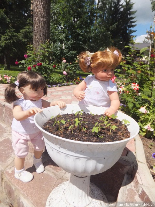 Миддлтошки летом