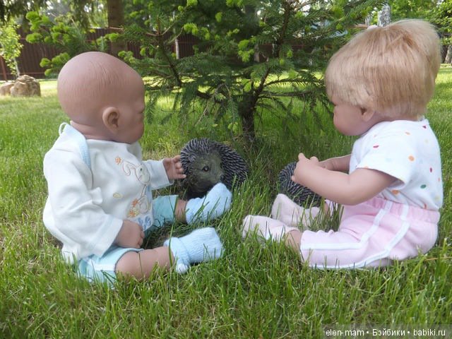 Хуанчики и ёжики