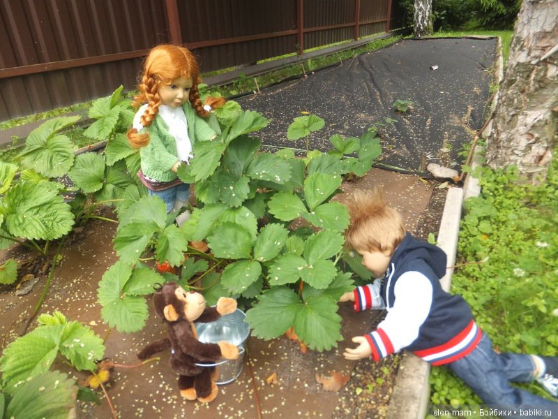 Юлика и Ден, клубника