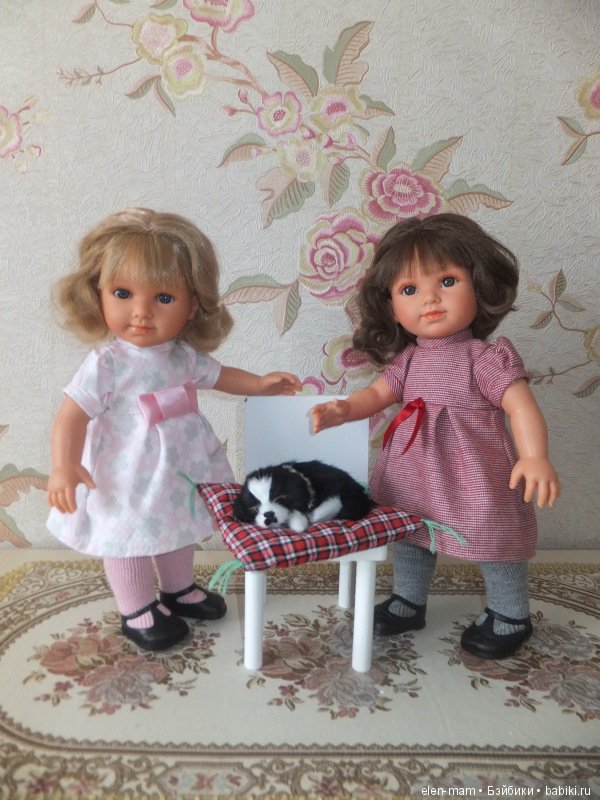 Две Ллоренс и собачка