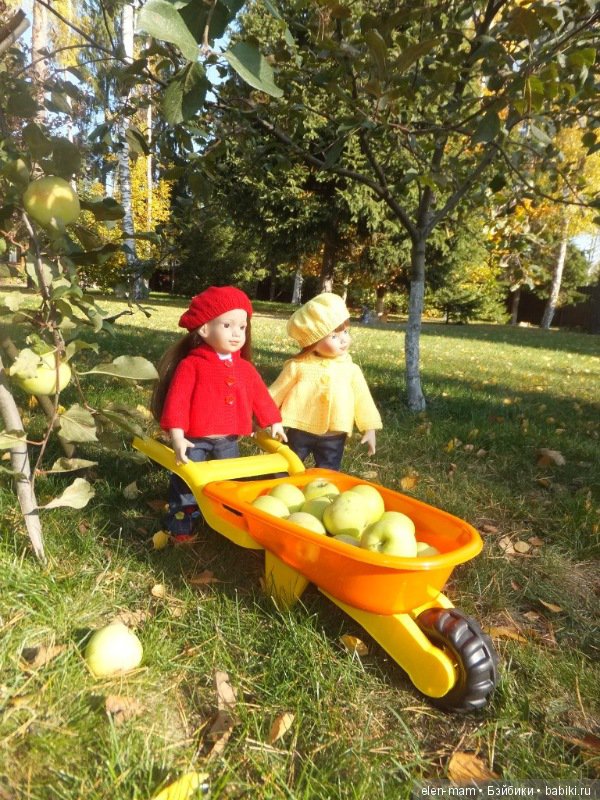 Алиса и мара собрали яблоки