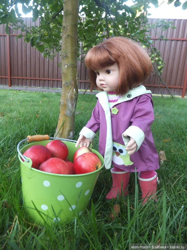 Агаша собрала яблоки