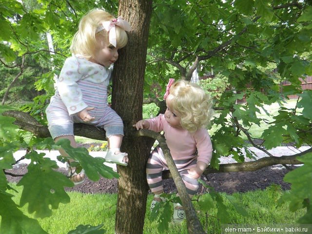 Адорки на дереве