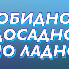 Обидно, досадно и... ладно??