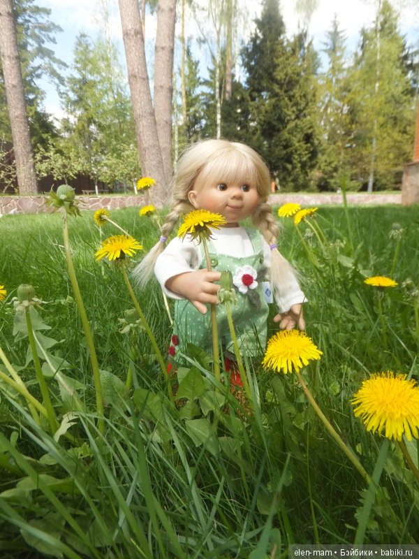 Одуванчики