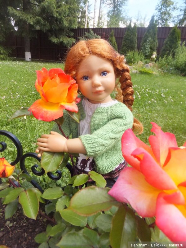 Юлика, розы 2