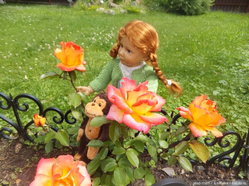 Юлика, розы