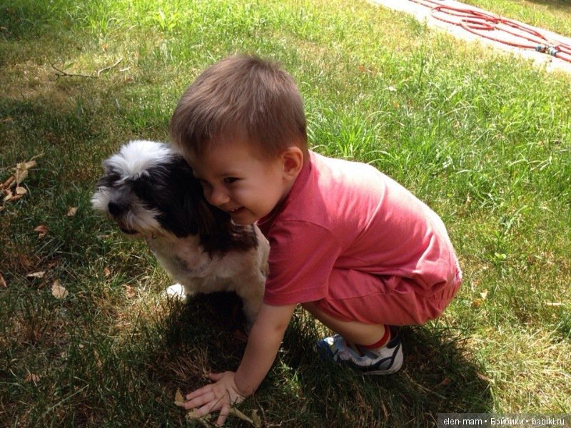 Обнимашки с Ляликом